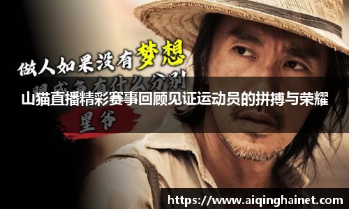 山猫直播精彩赛事回顾见证运动员的拼搏与荣耀